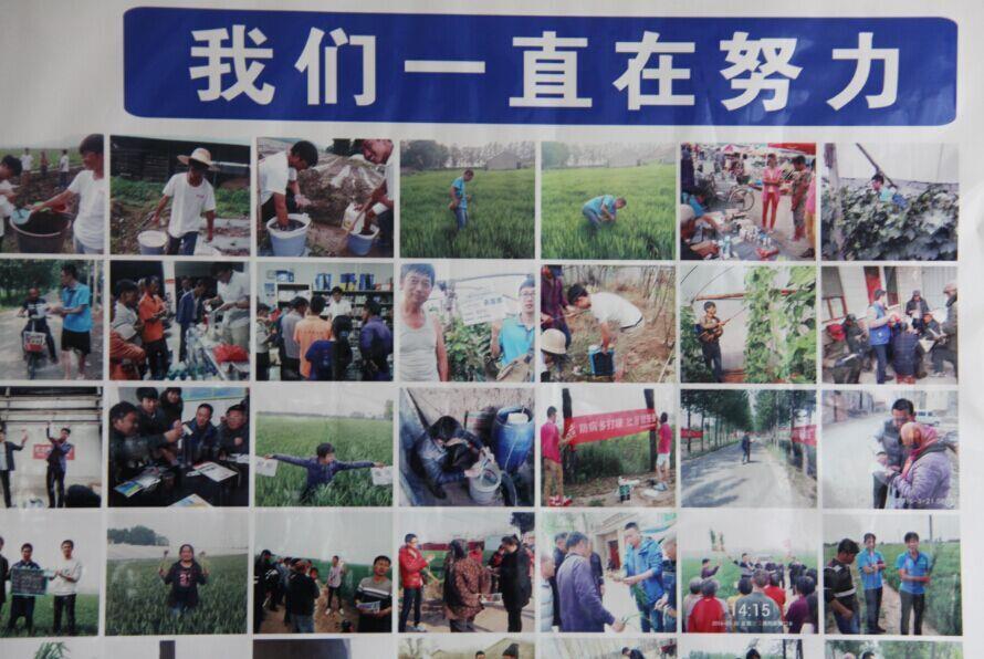 星空web版登录入口国内制剂2016年度第一次总结暨市场启动会议隆重召开