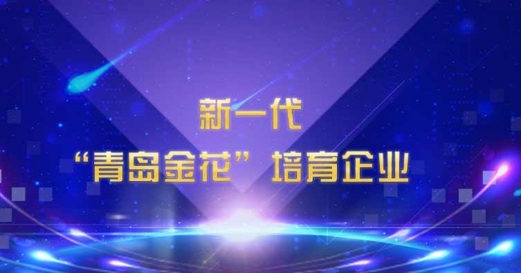 喜讯！星空web版登录入口入选新一代“青岛金花”培育企业